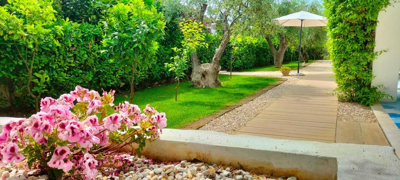 B&B Casrienn Mattinata Εξωτερικό φωτογραφία