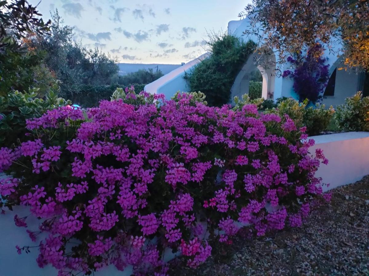 B&B Casrienn Mattinata Εξωτερικό φωτογραφία