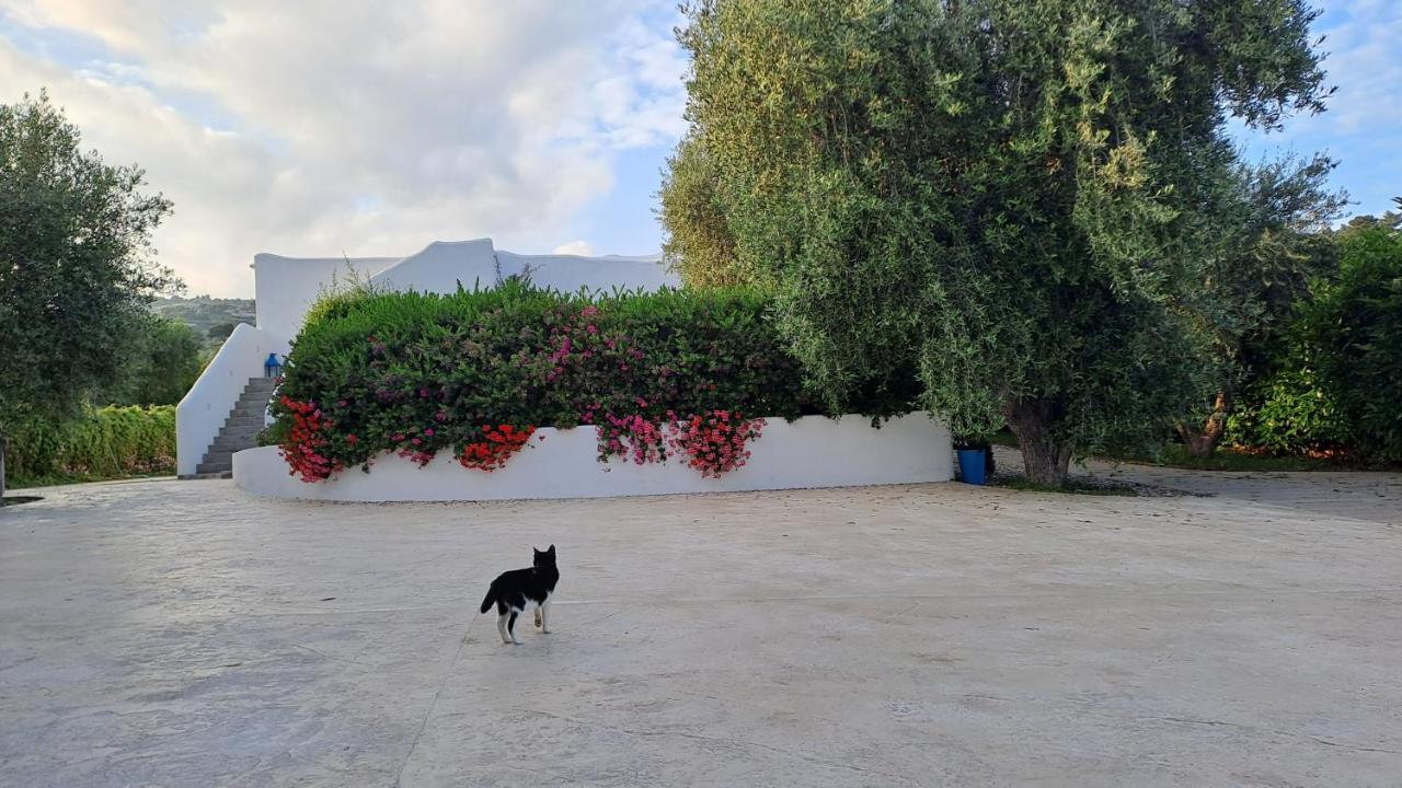 B&B Casrienn Mattinata Εξωτερικό φωτογραφία